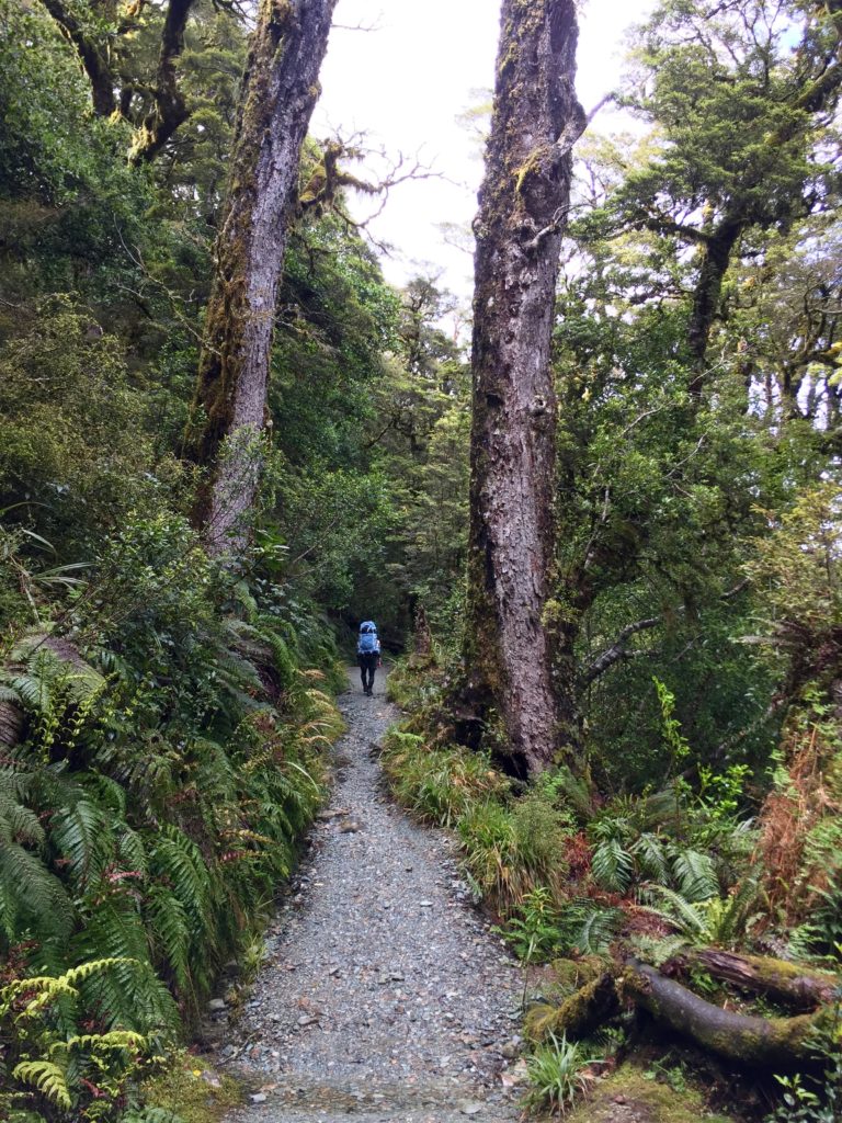 Key Summit hike, Fiordland National Park, New Zealand