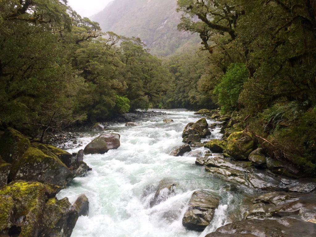 Cleddau River, Fiordland National Park, New Zealand