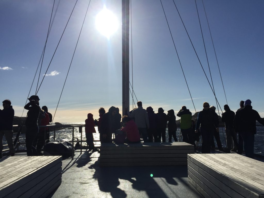 Passengers on deck in the sunshine, the Fiordland Navigator, Doubtful Sound
