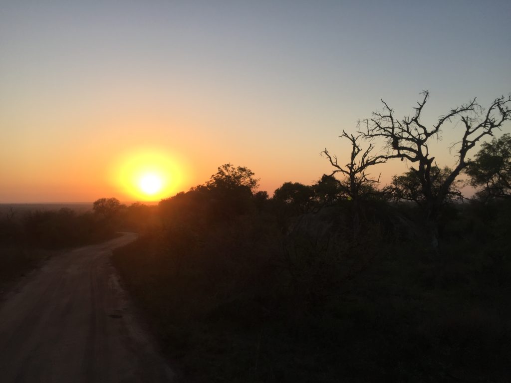 Wolhuter Wilderness Trail, Kruger National Park, South Africa