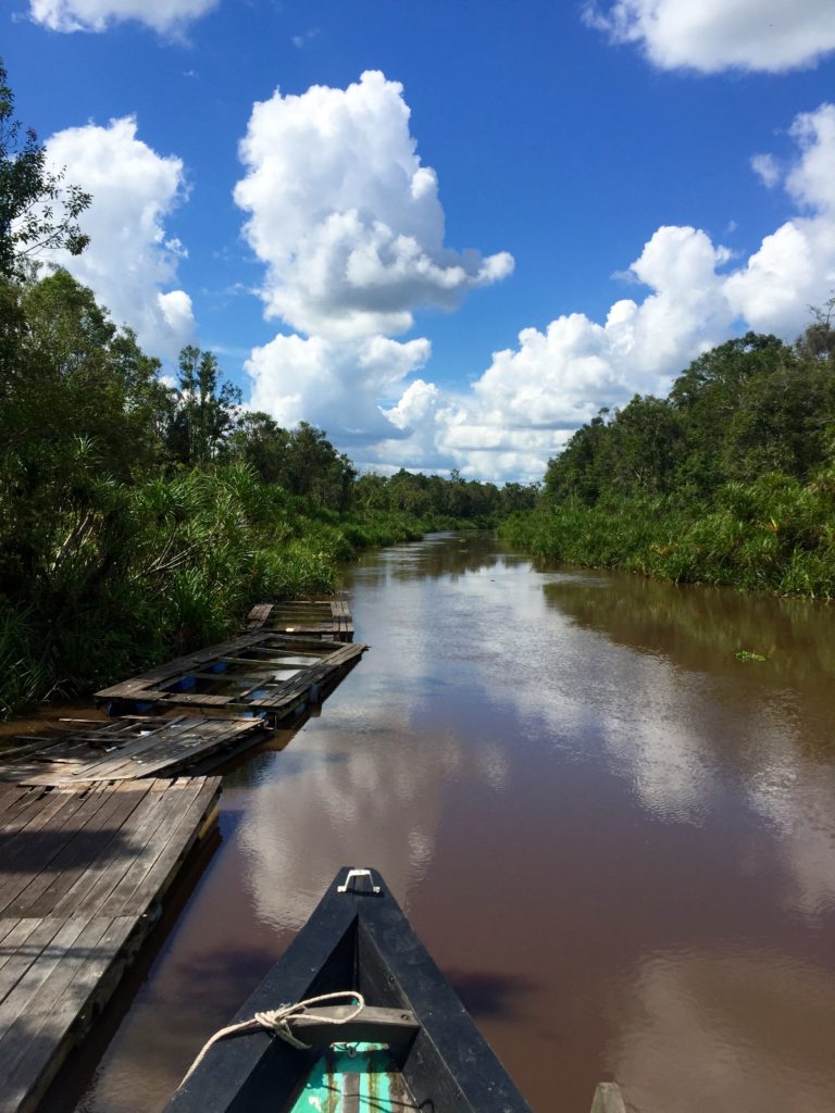 Boating up the Sekonyer River, Tanjung Puting National Park, Borneo (Kalimantan), Indonesia