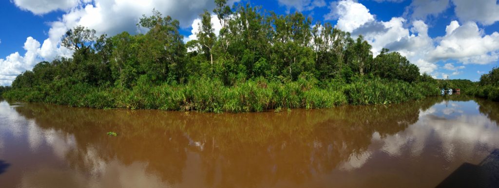 Sekonyer River, Tanjung Puting National Park, Borneo (Kalimantan), Indonesia
