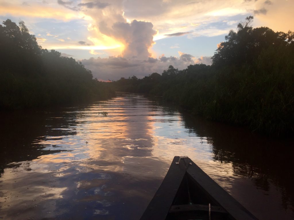 Sunset on the Sekonyer River, Borneo (Kalimantan), Indonesia