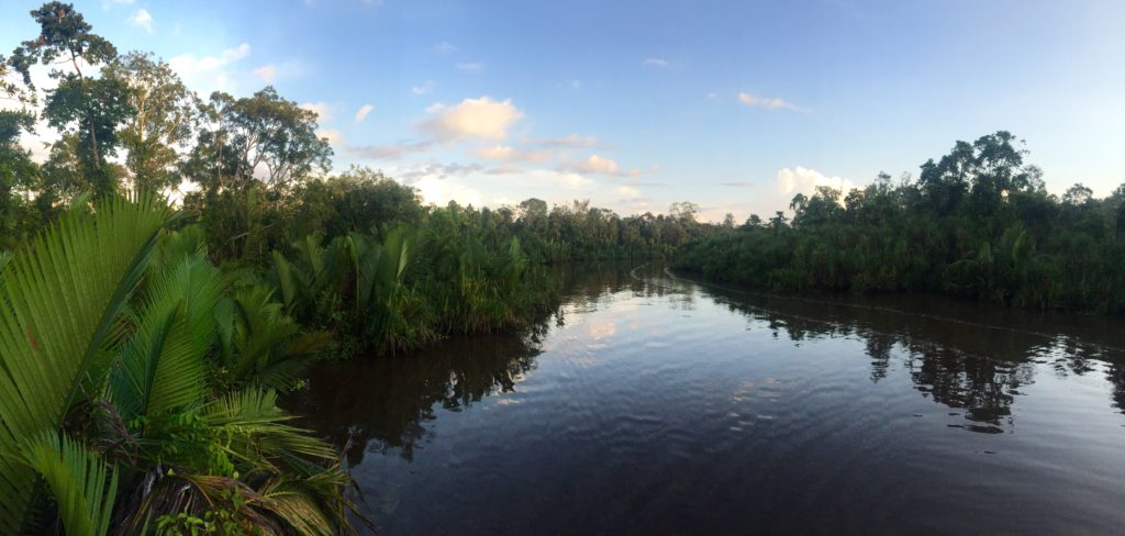 Sekonyer River, Borneo (Kalimantan), Indonesia
