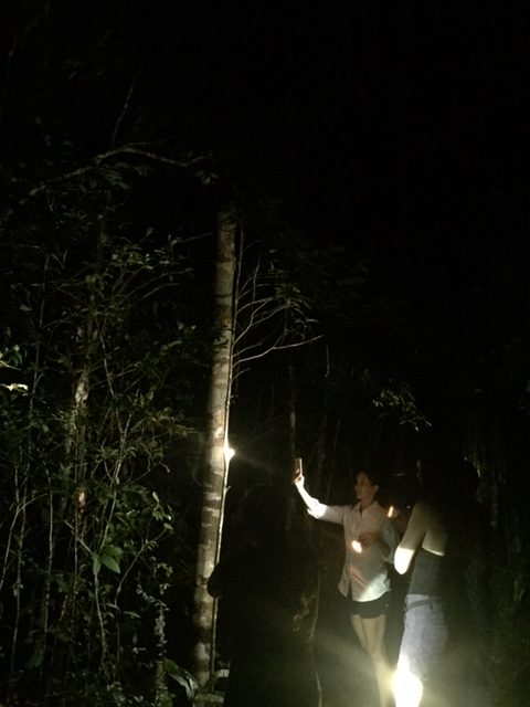 Night hiking, Tanjung Puting N.P., Borneo (Kalimantan), Indonesia
