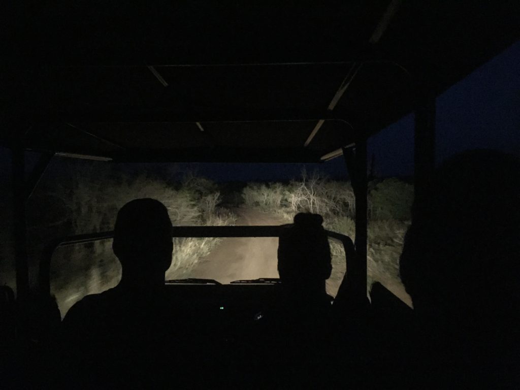 Night drive, Wolhuter Wilderness Trail, Kruger National Park, South Africa
