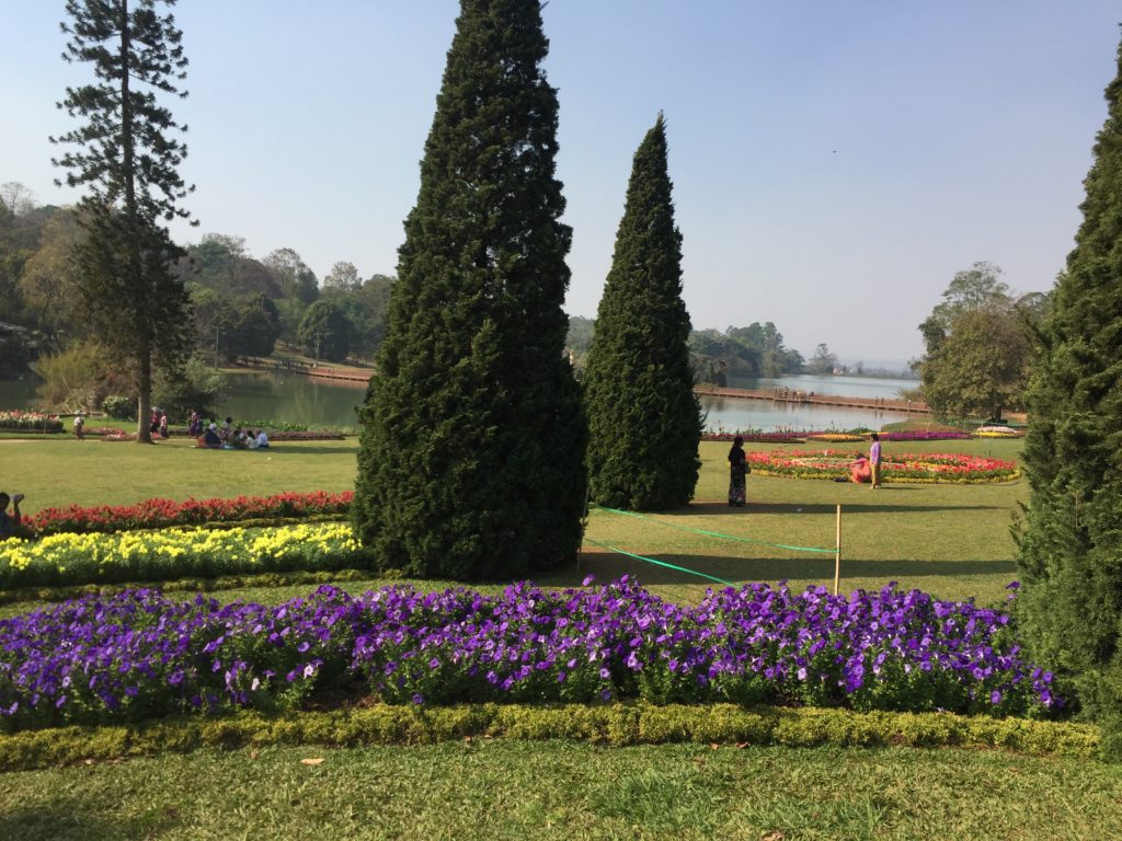 Colorful flowers and green trees in the gardens