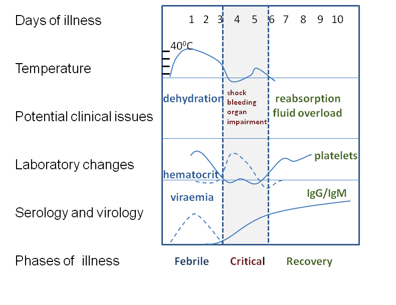 Timeline and course chart of dengue fever symptoms