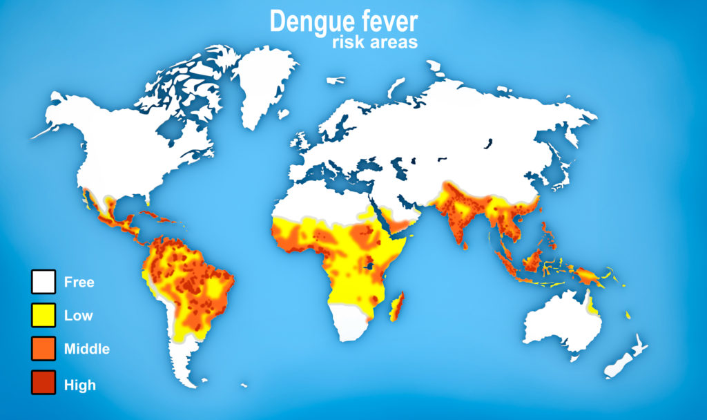 World map showing risk of dengue fever by way of color-coding